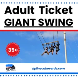 ticket Adult Giant Swing