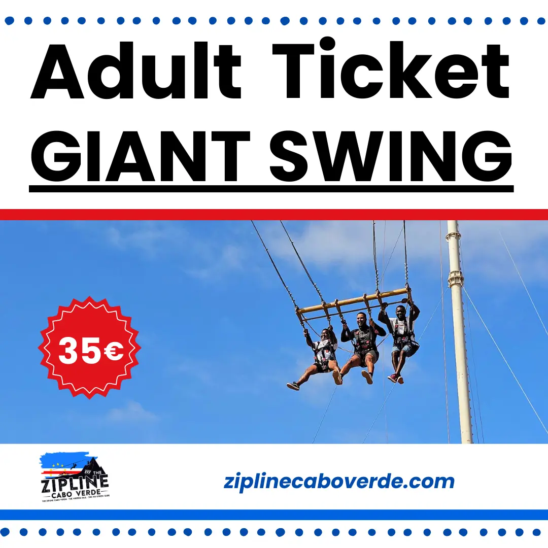 ticket Adult Giant Swing
