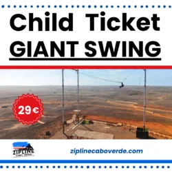 Child Ticket Giant Swing