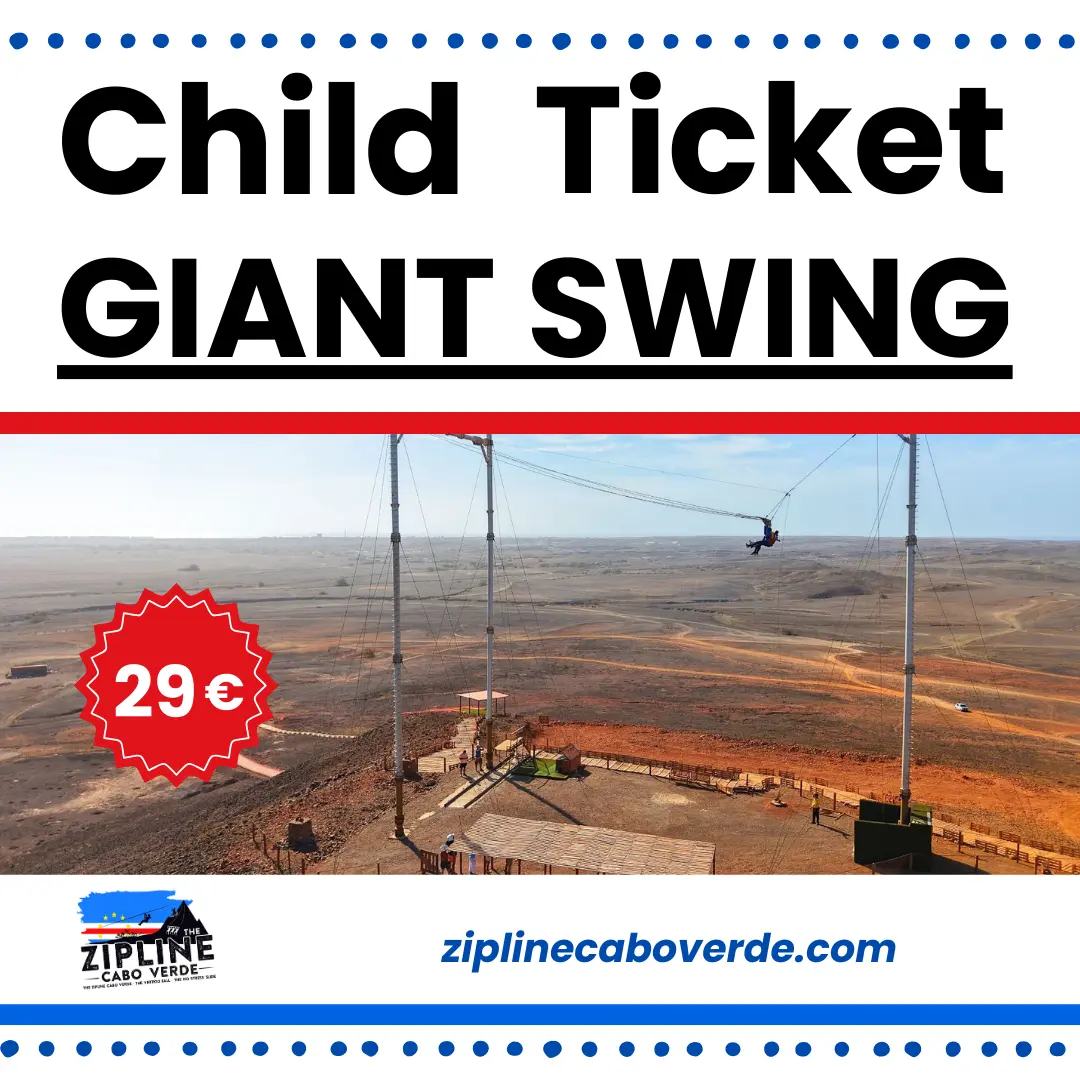 Child Ticket Giant Swing