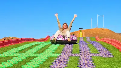 Adult Ticket Super Slide
